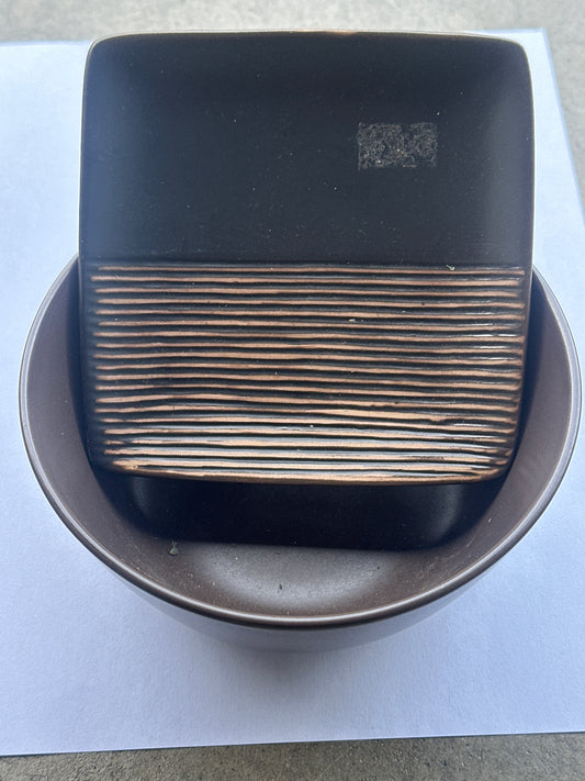 BONES: Dr Brennan's HERO Home Prop Bowl and Sushi Plate