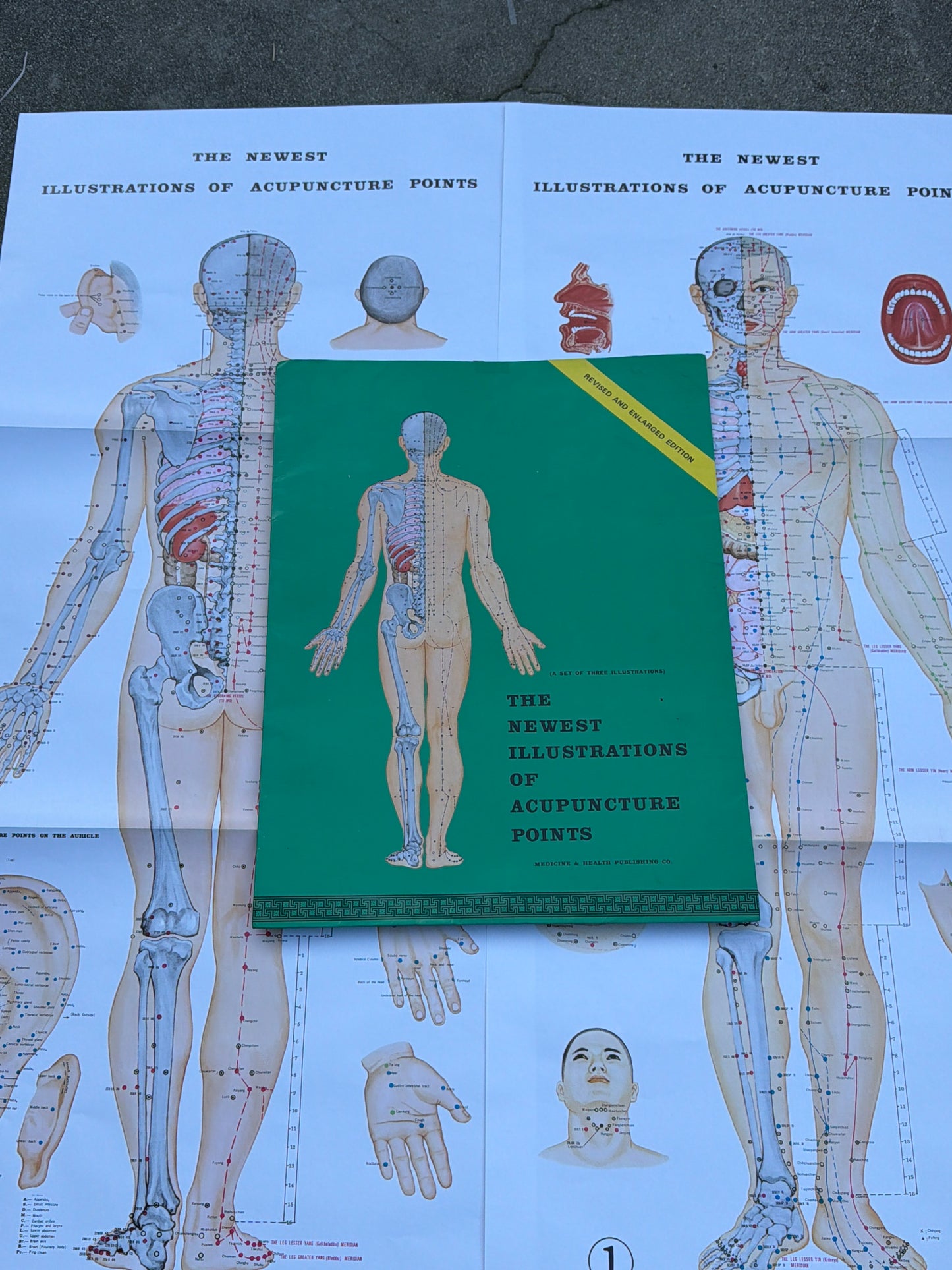 YOU'RE THE WORST: Lindsay’s HERO Office Acupuncture Points Illustrations