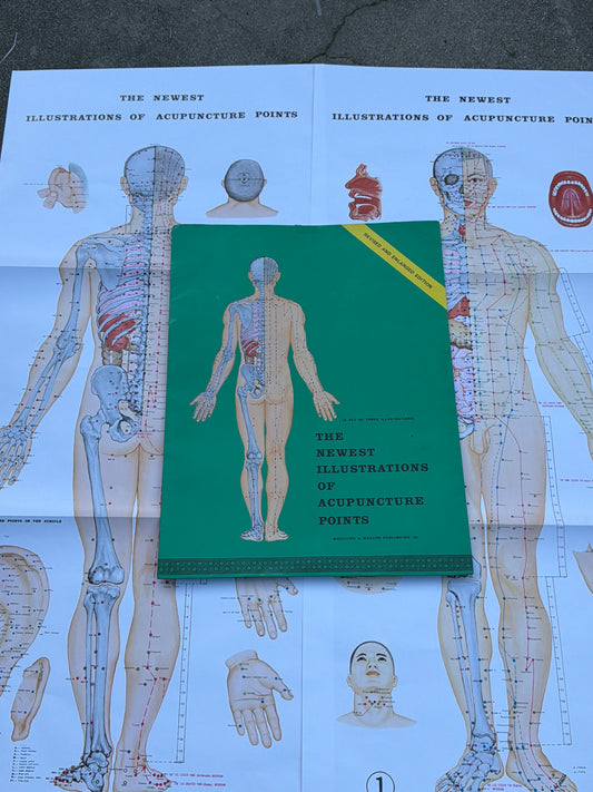 YOU'RE THE WORST: Lindsay’s HERO Office Acupuncture Points Illustrations