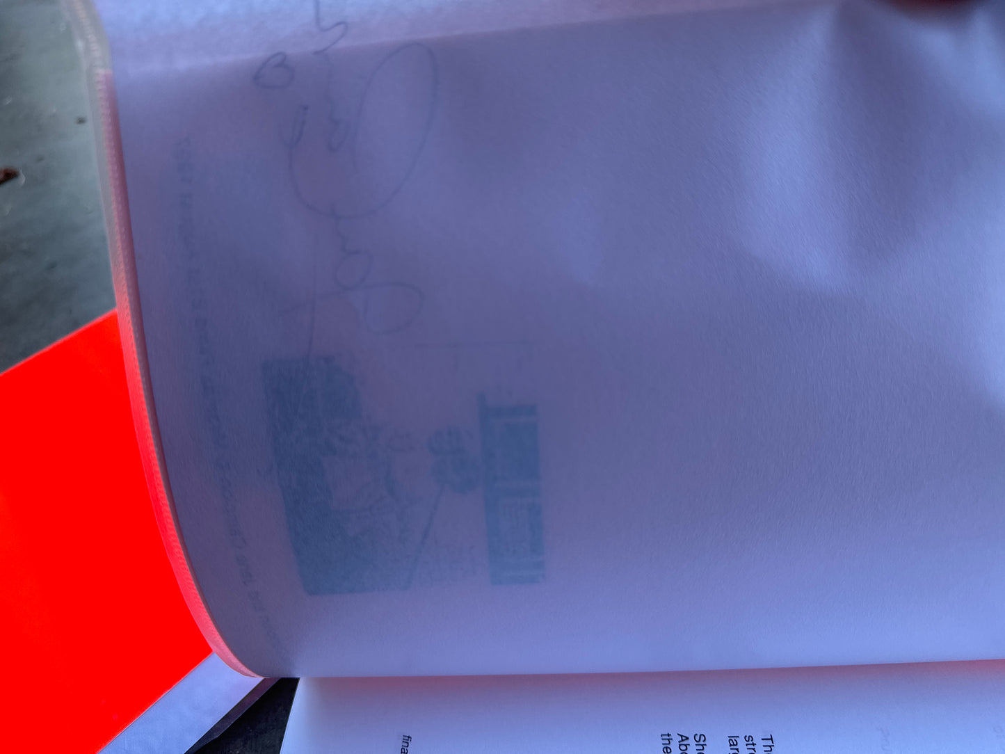 HOLY SMOKE MOVIE: Jane Campion Signed Script from The MIRAMAX Archive