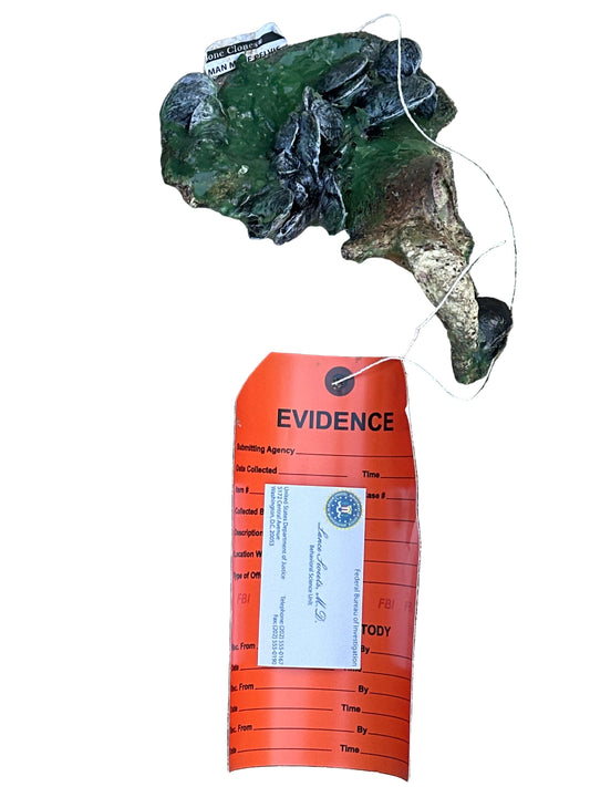 BONES: Dr Brennan's Bones Props with Evidence tag + Sweets’ business Card