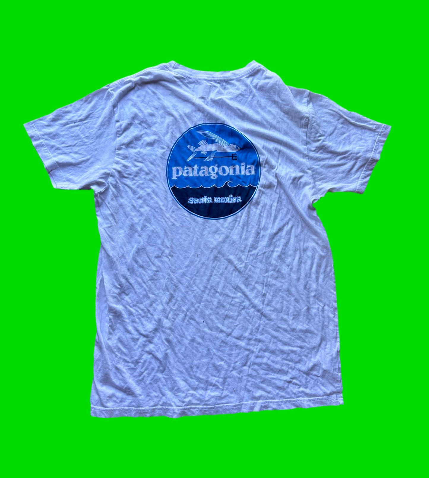 SILICON VALLEY: Richard Hendrick's Pantagonia Tee (S)