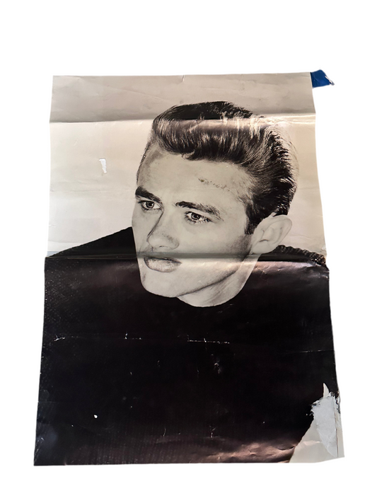 SILICON VALLEY: Richard's HERO Hacker Hostel Bedroom “James Dean” Poster