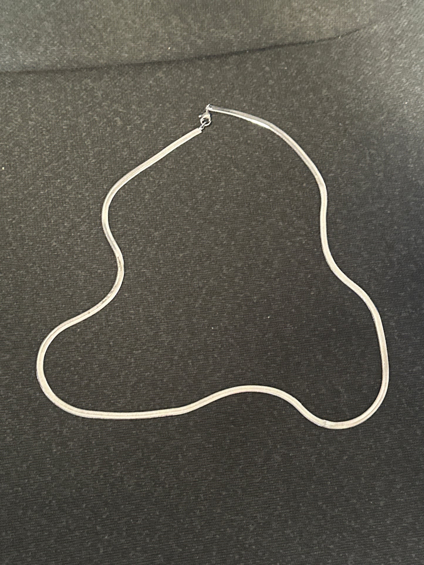 HOUSE: Dr. James Wilson HERO Silver Necklace (2 of 4)