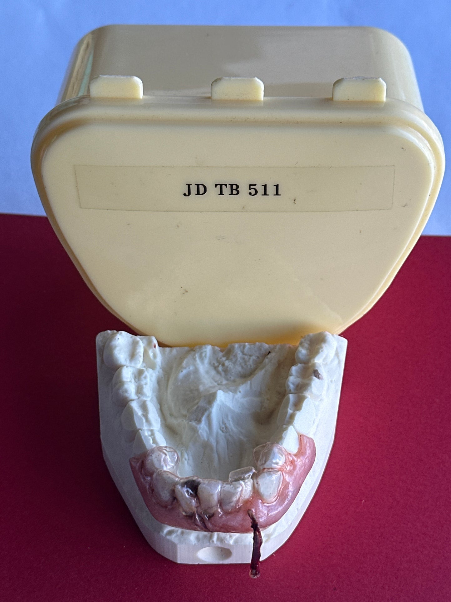 TRUE BLOOD: JD Vampire Fangs from Episode 511 - B