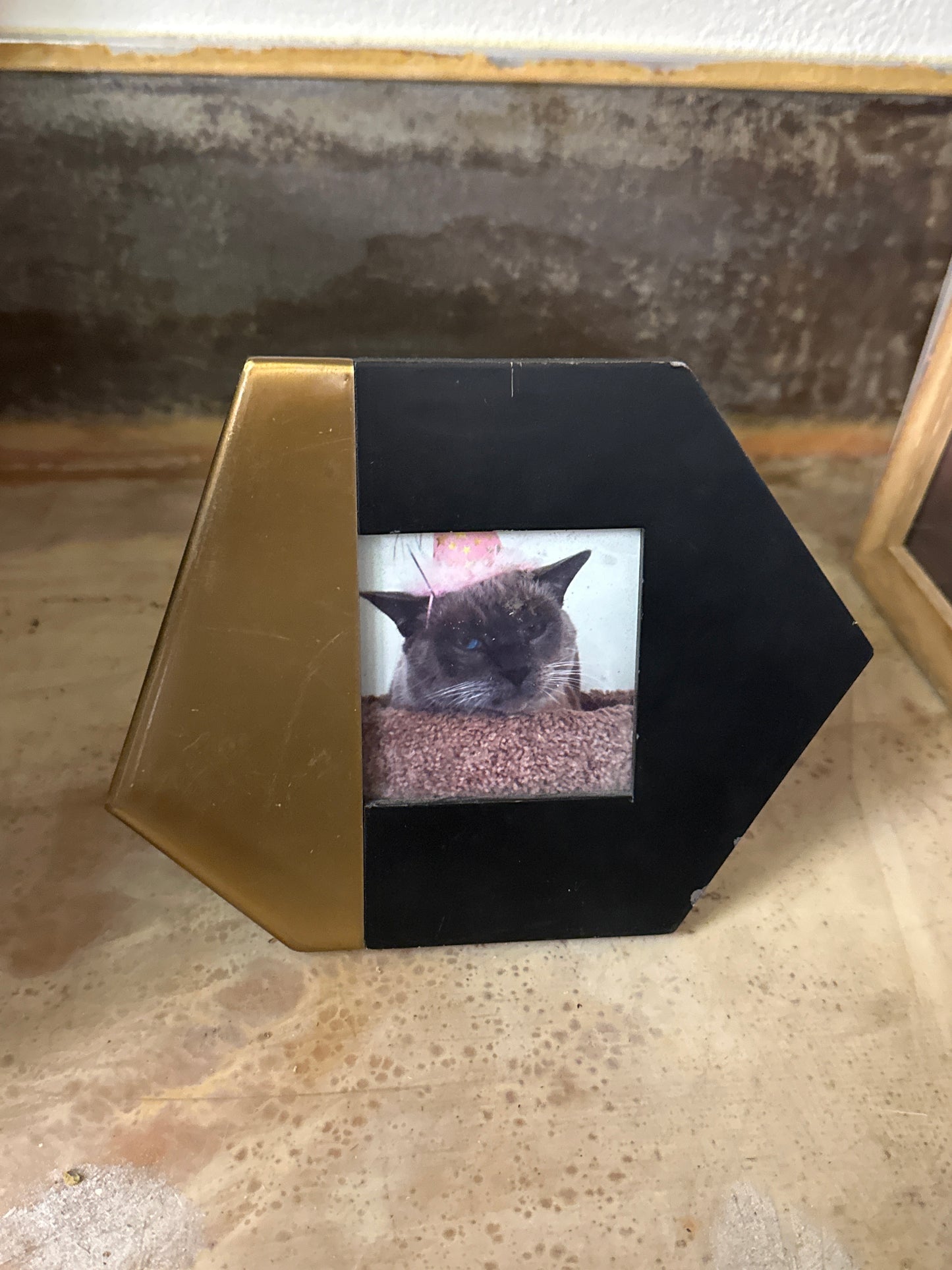 SILICON VALLEY: Monica Hall's On Screen Cat Personal Picture in Office