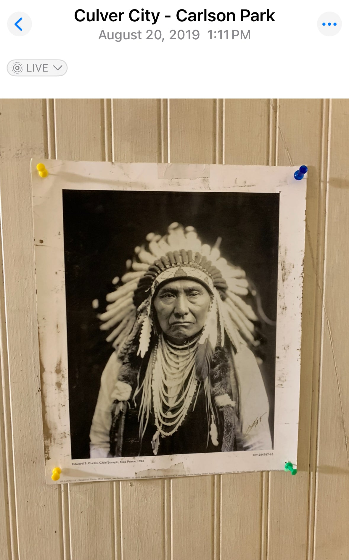 SILICON VALLEY: Erlich’s Hacker Hostel HERO Chief Indian Poster