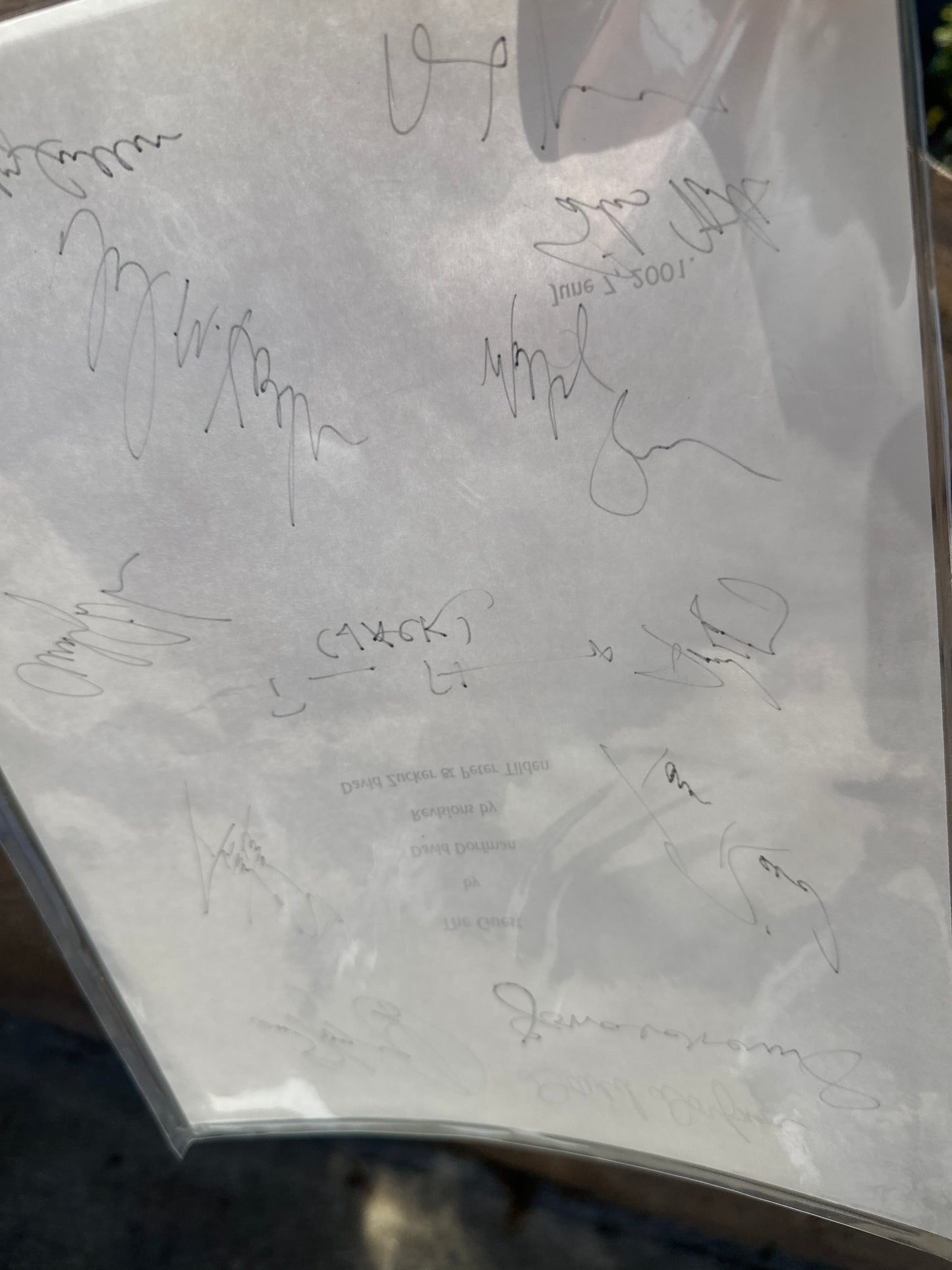 The Guest MOVIE: Director (David Dorfman)+ Cast Signed Script from The MIRAMAX Archive
