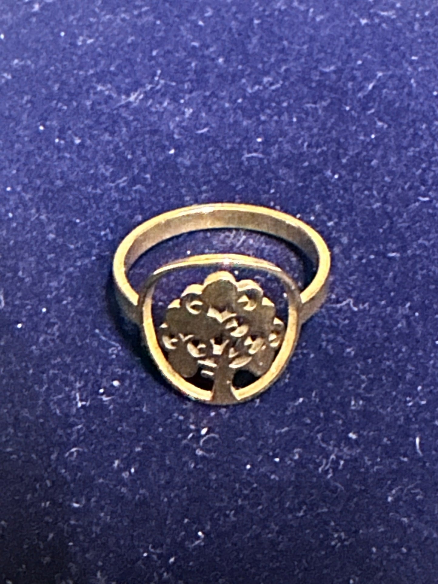 PARKS AND RECREATION: April’s Hero Ring