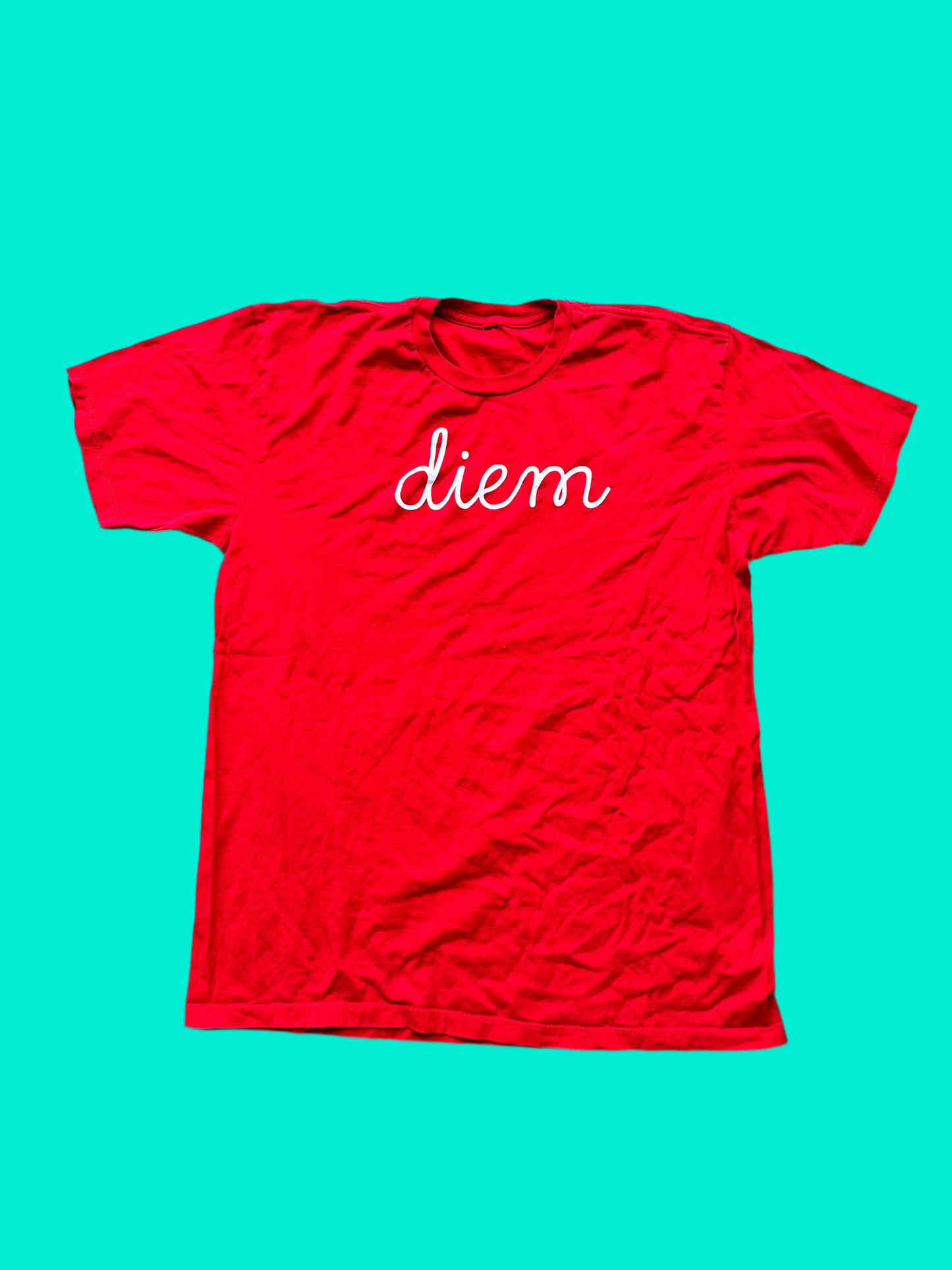 BALLERS: Jason's DIEM Red Shirt and Hat (M)