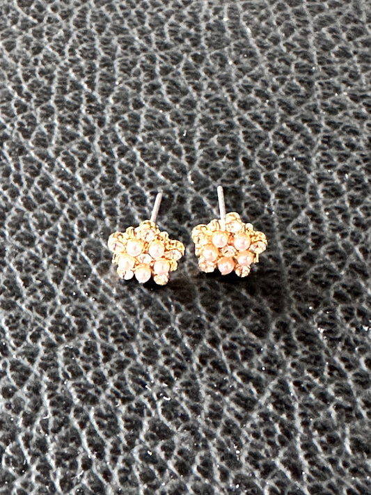 HOUSE: Dr Lisa Cuddy HERO faux Diamond Earrings