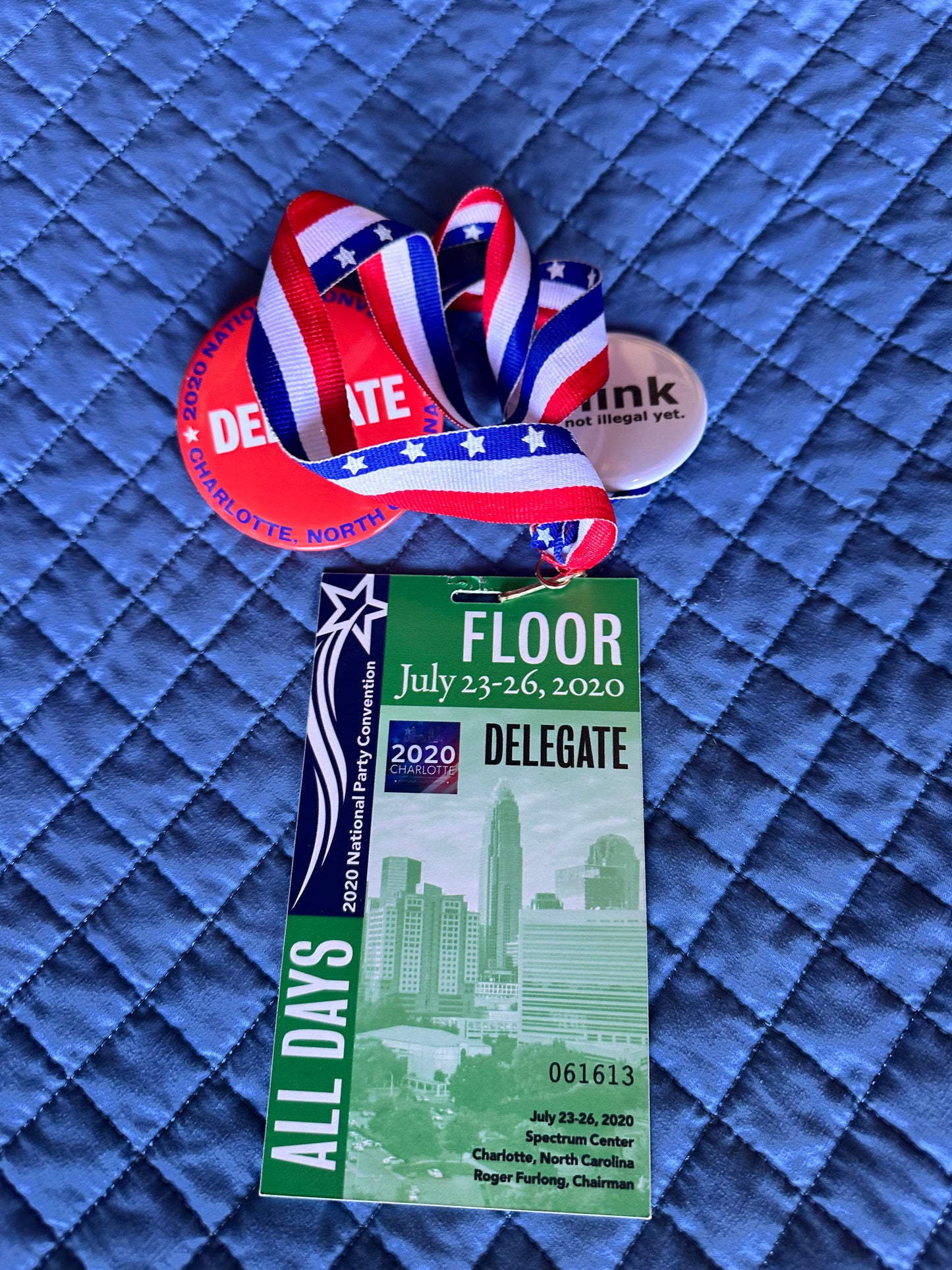 VEEP: North Carolina HERO Convention Delegate Badge, Lanyard and Pins