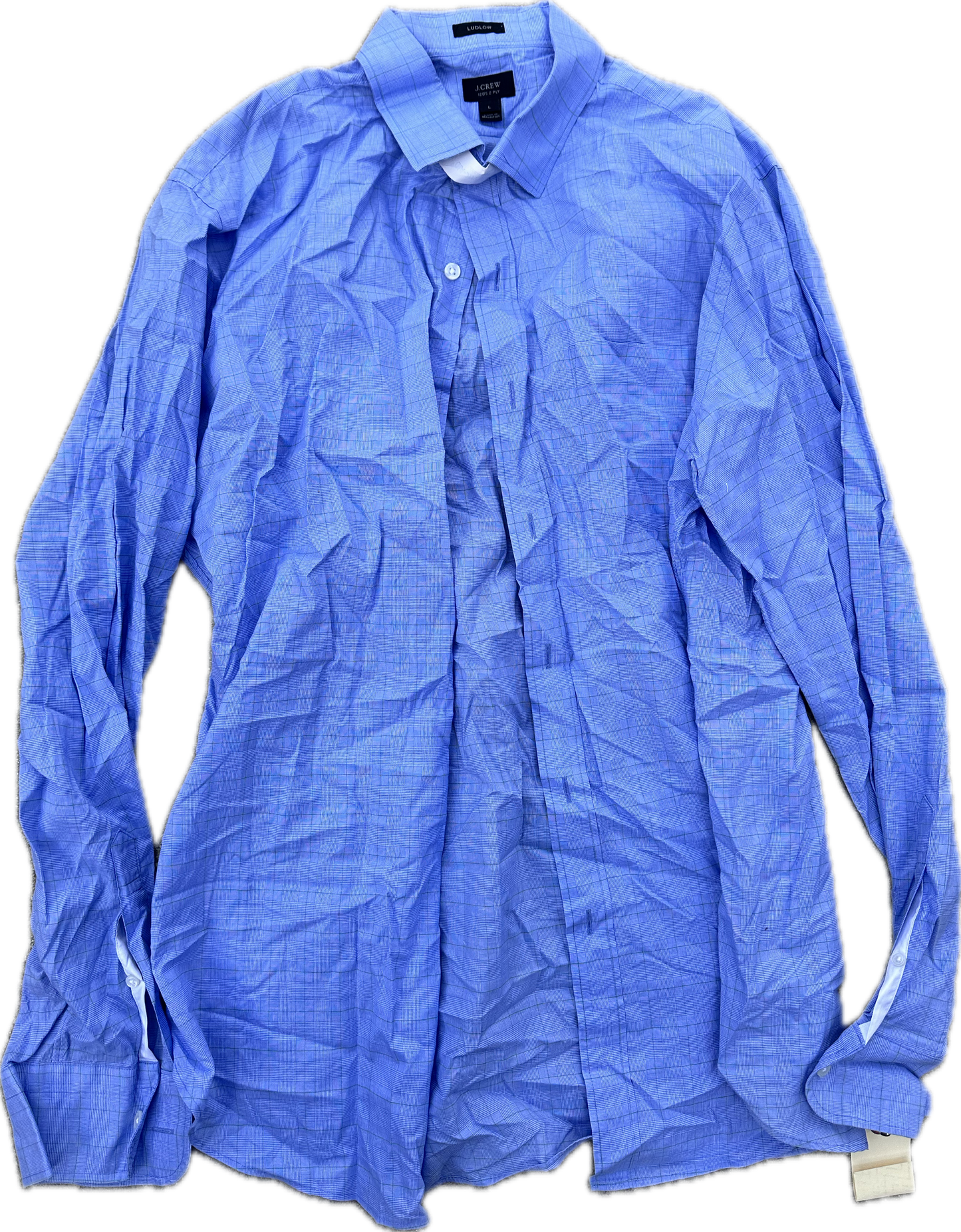 HOUSE: Dr. James Wilson's HERO J Crew Blue Plaid Button Shirt (17)