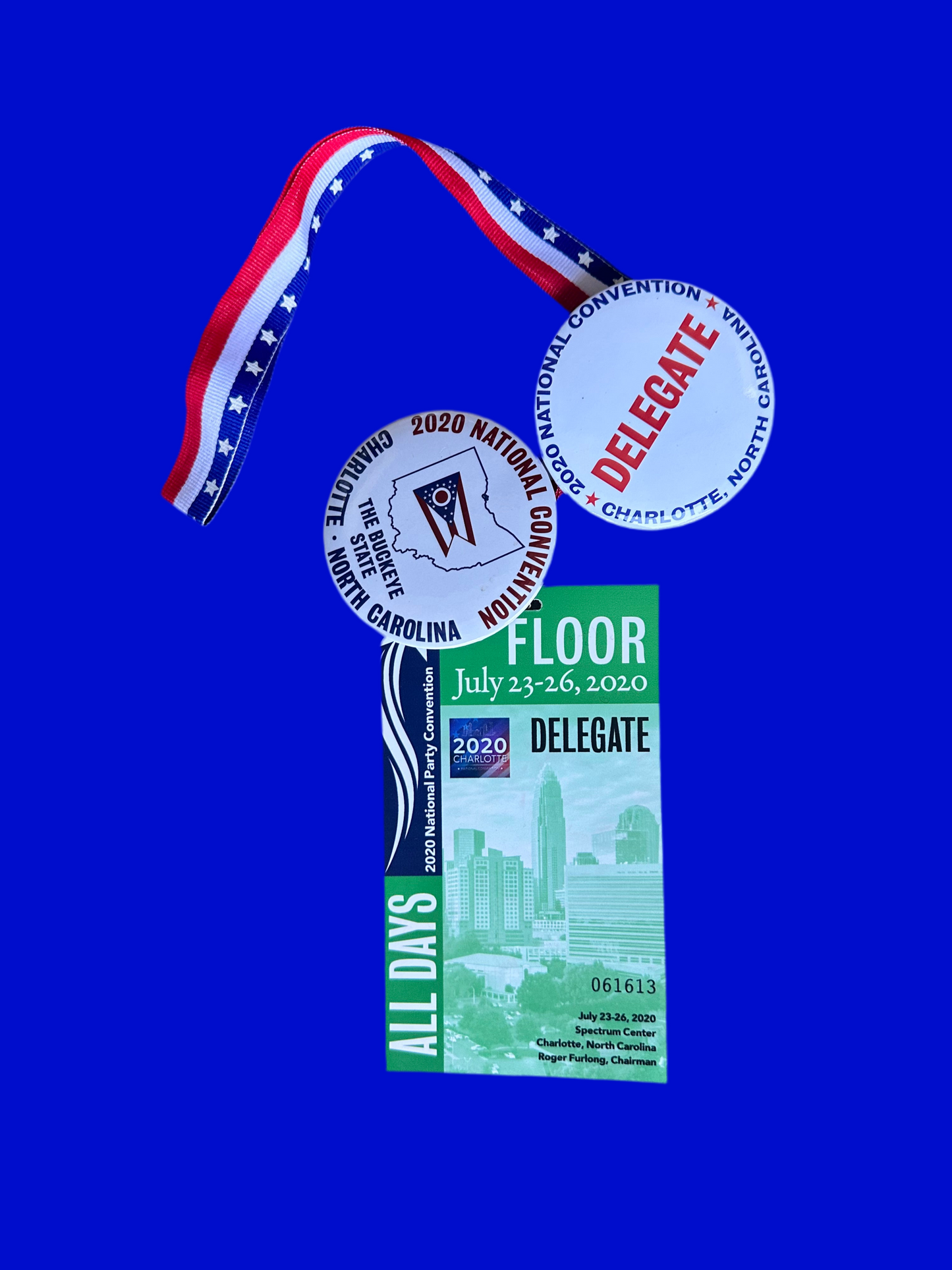 VEEP: North Carolina HERO Convention Delegate Badge, Lanyard and Pins