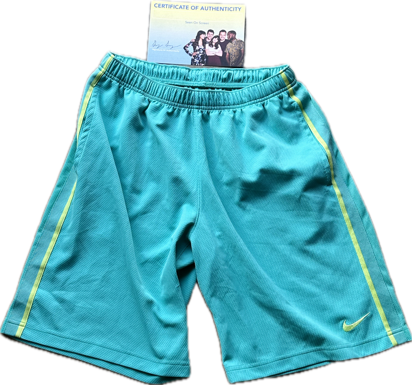 NEW GIRL: Winston’s NIKE Basketball Shorts (S)