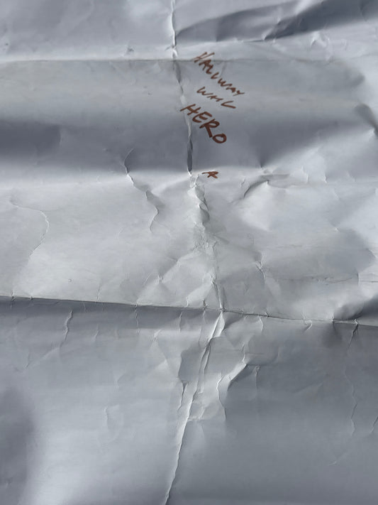 SILICON VALLEY: Erlich's HERO Hacker Hostel Entrance Wall Legion of Bloom Poster