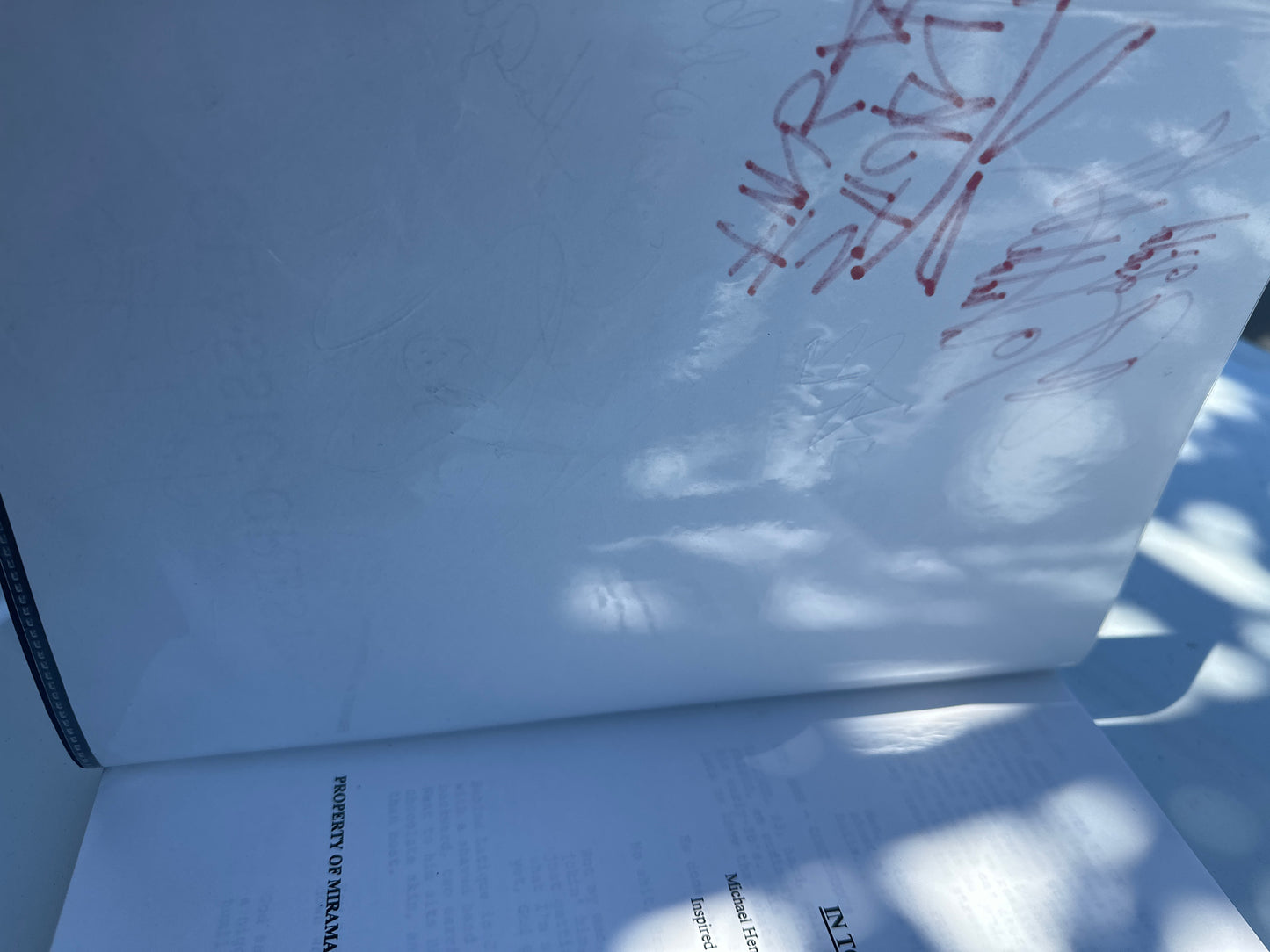 IN TOO DEEP MOVIE: Director & Cast Signed Script from The MIRAMAX Archive