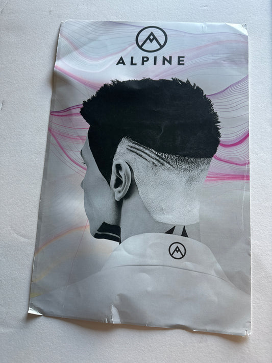 SILICON VALLEY: Erlich's HERO Hostel wall Alpine Cannabis Poster