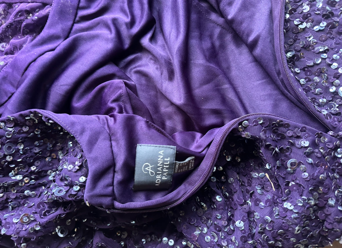 30 ROCK: Avery's Adrianna Papell Purple Gown Dress (4)