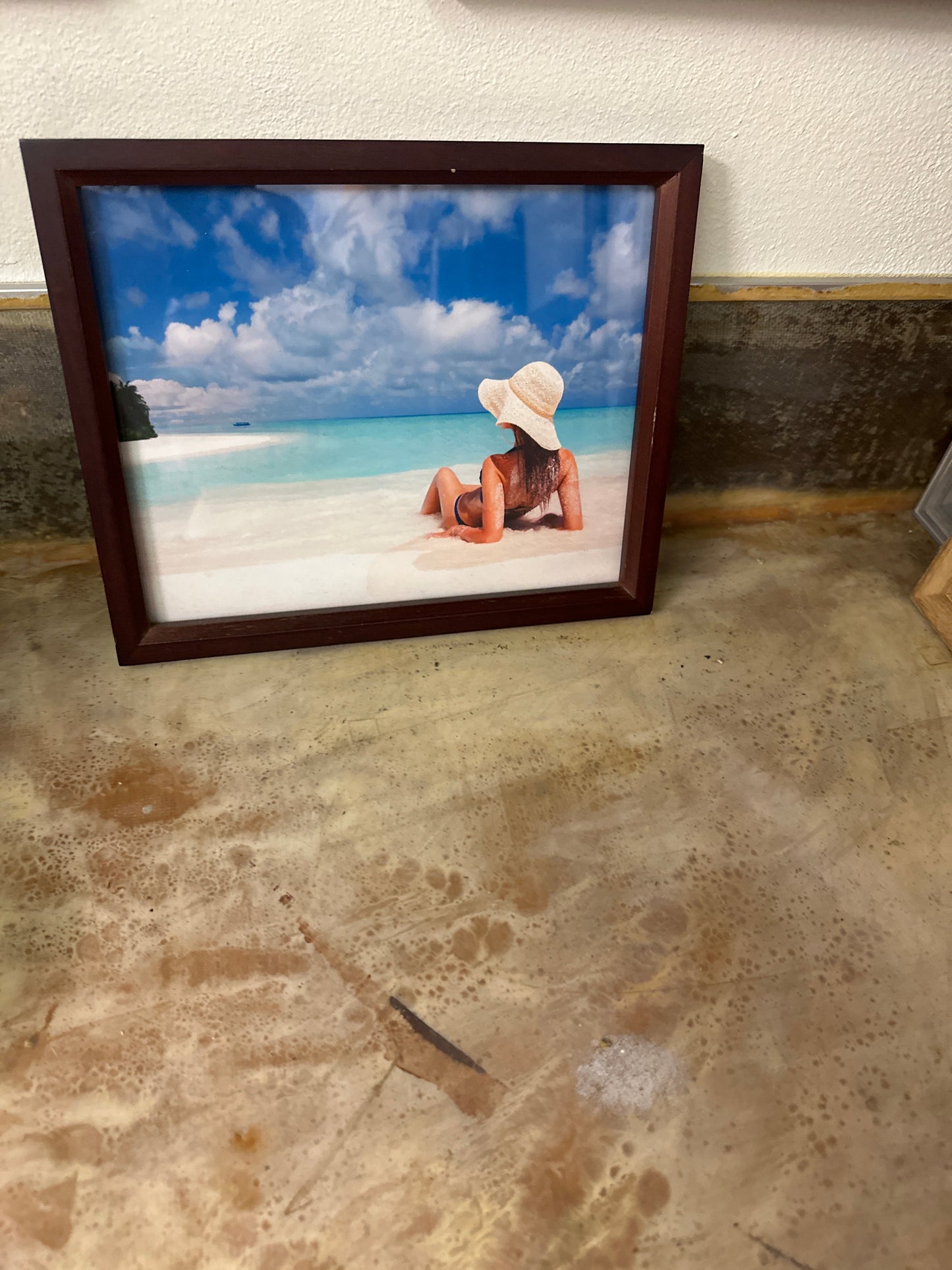 SILICON VALLEY: Richard’s Picture of “The Dream”