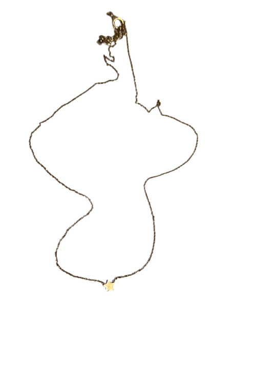 VEEP: Selina Meyer's HERO Necklace