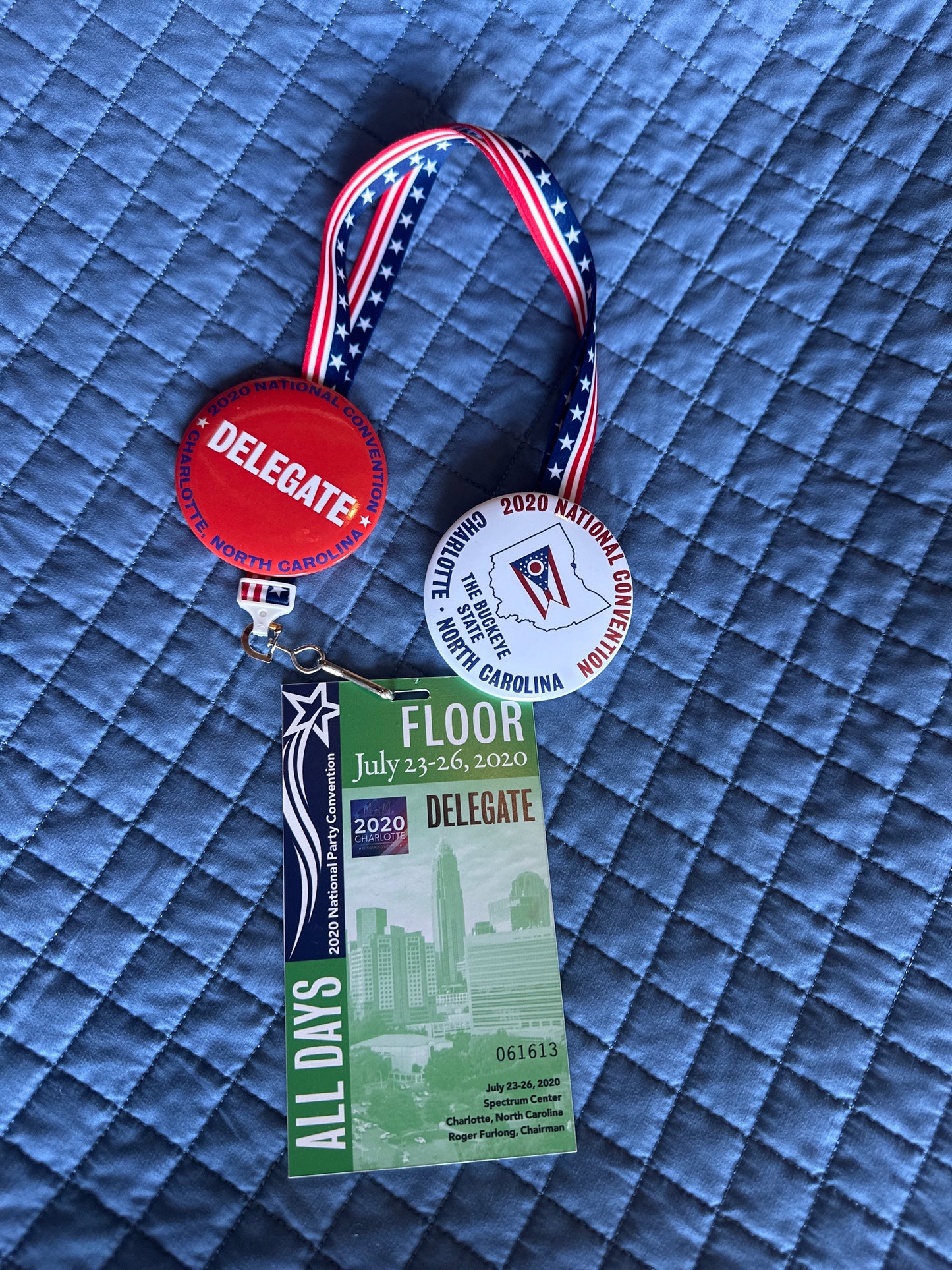 VEEP: North Carolina HERO Convention Delegate Badge, Lanyard and Pins