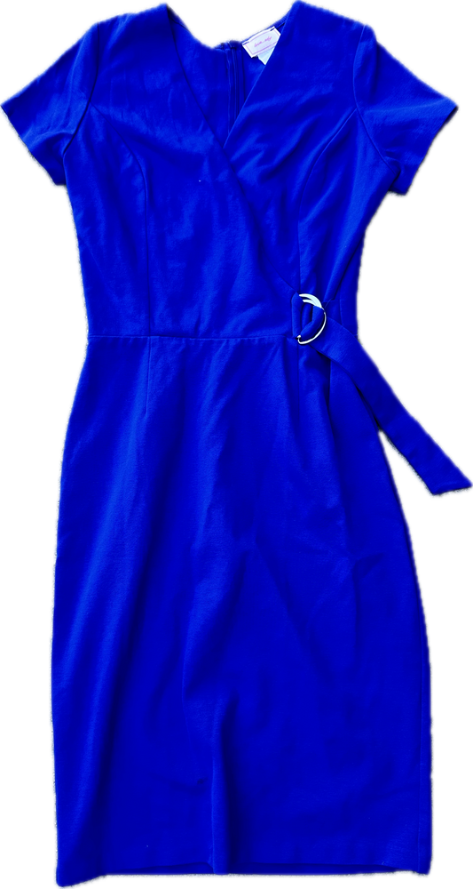 PARKS AND RECREATION: Leslie’s Designer Blue Belt Dress Seen on Screen