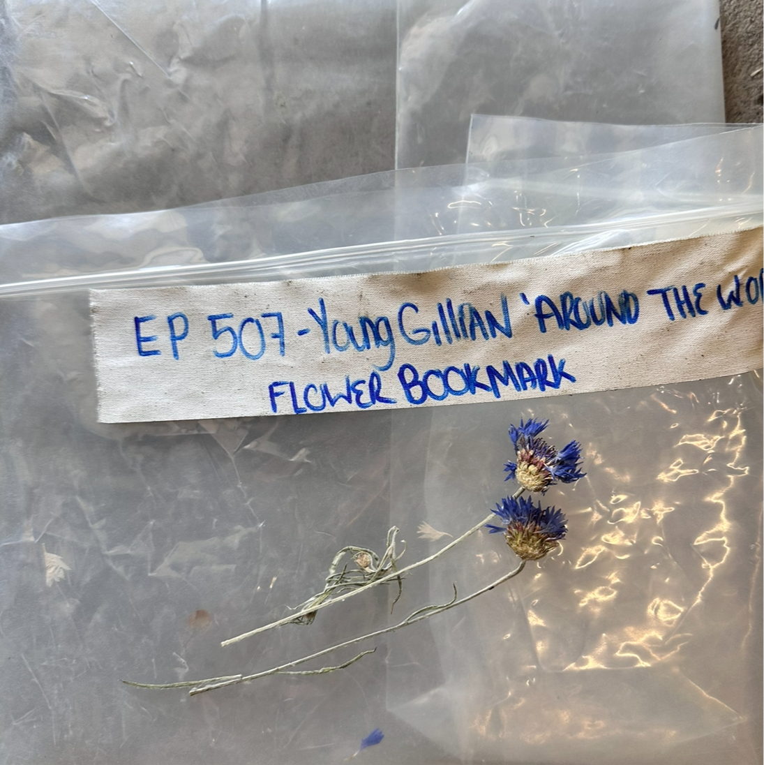 Boardwalk Empire: Young Gillian Darmody’s Flowers Bookmark from Episode 507