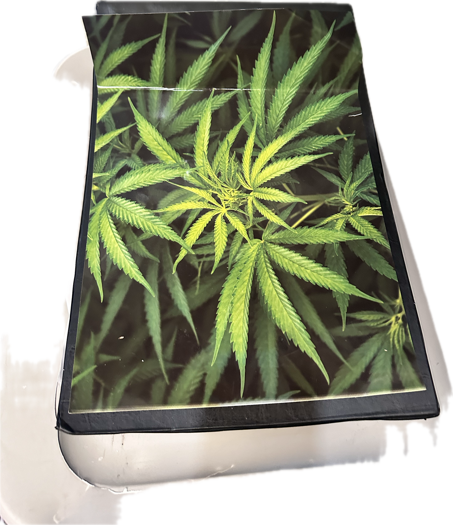 THE GENTLEMEN: Young Michael’s Oxford Dorm Room Weed Poster