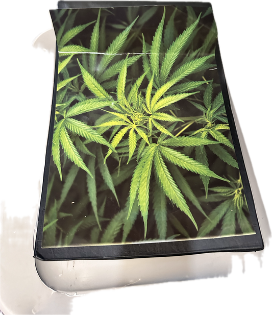 THE GENTLEMEN: Young Michael’s Oxford Dorm Room Weed Poster