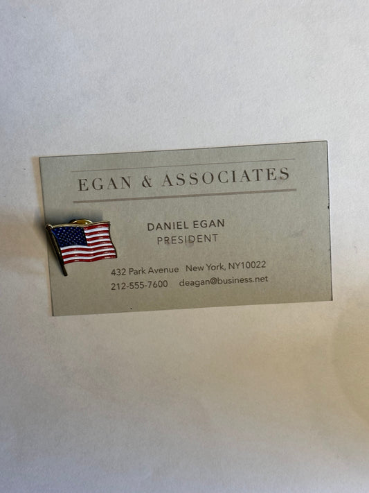 VEEP: Dan Egan HERO Business Card and Flag Pin