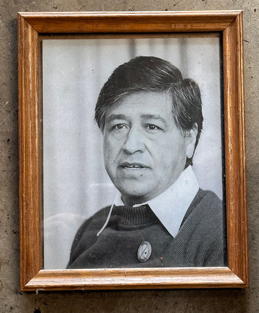 VEEP: Selina Meyer’s Whitehouse Office Cesar Chavez Picture