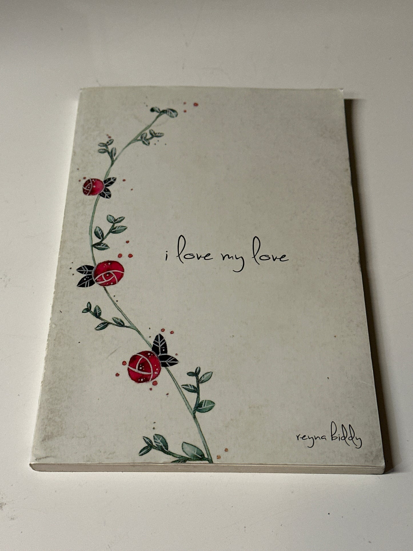 SILICON VALLEY: Gilfoyle's HERO Books