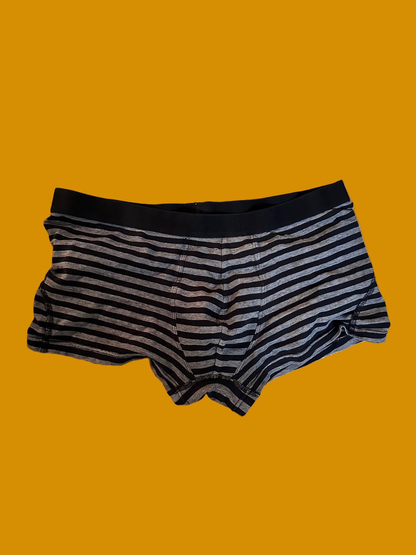 HOUSE: Dr Gregory House HERO H&M Briefs (L)