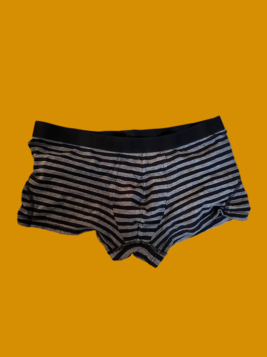 HOUSE: Dr Gregory House HERO H&M Briefs (L)