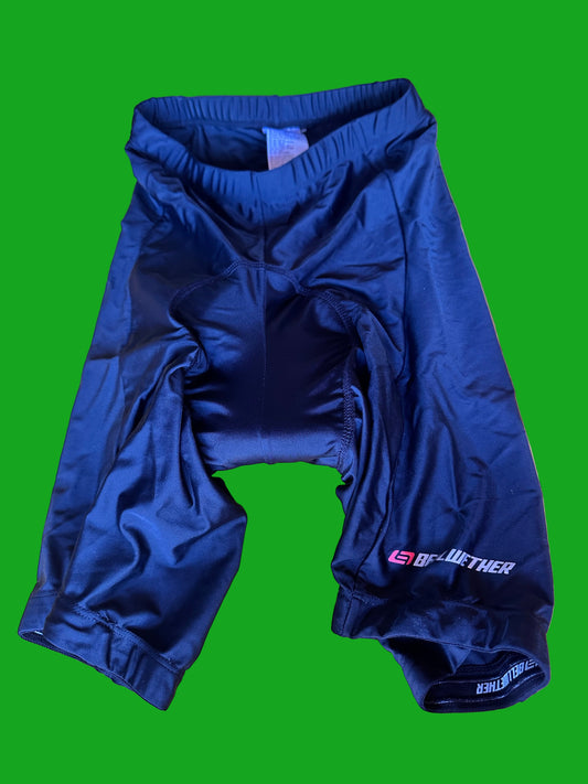 SILICON VALLEY: Ron LaFlame's Bicycle Shorts