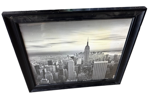 VEEP: Dan’s New York City Framed Apartment Picture