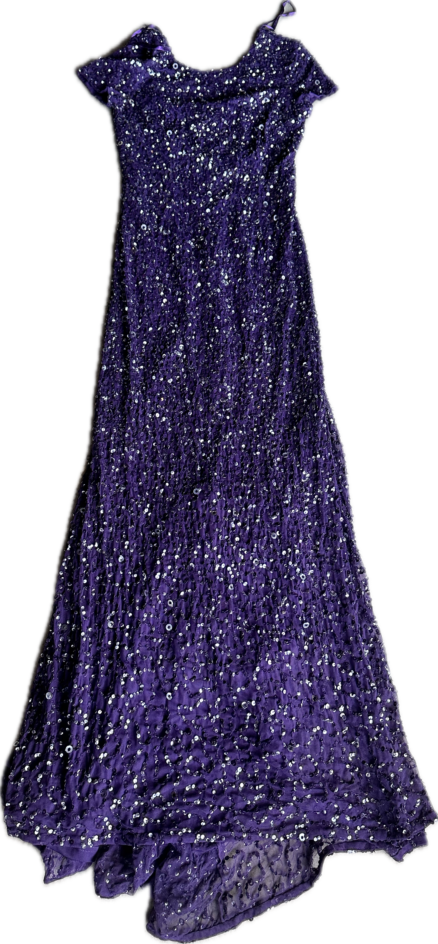 30 ROCK: Avery's Adrianna Papell Purple Gown Dress (4)