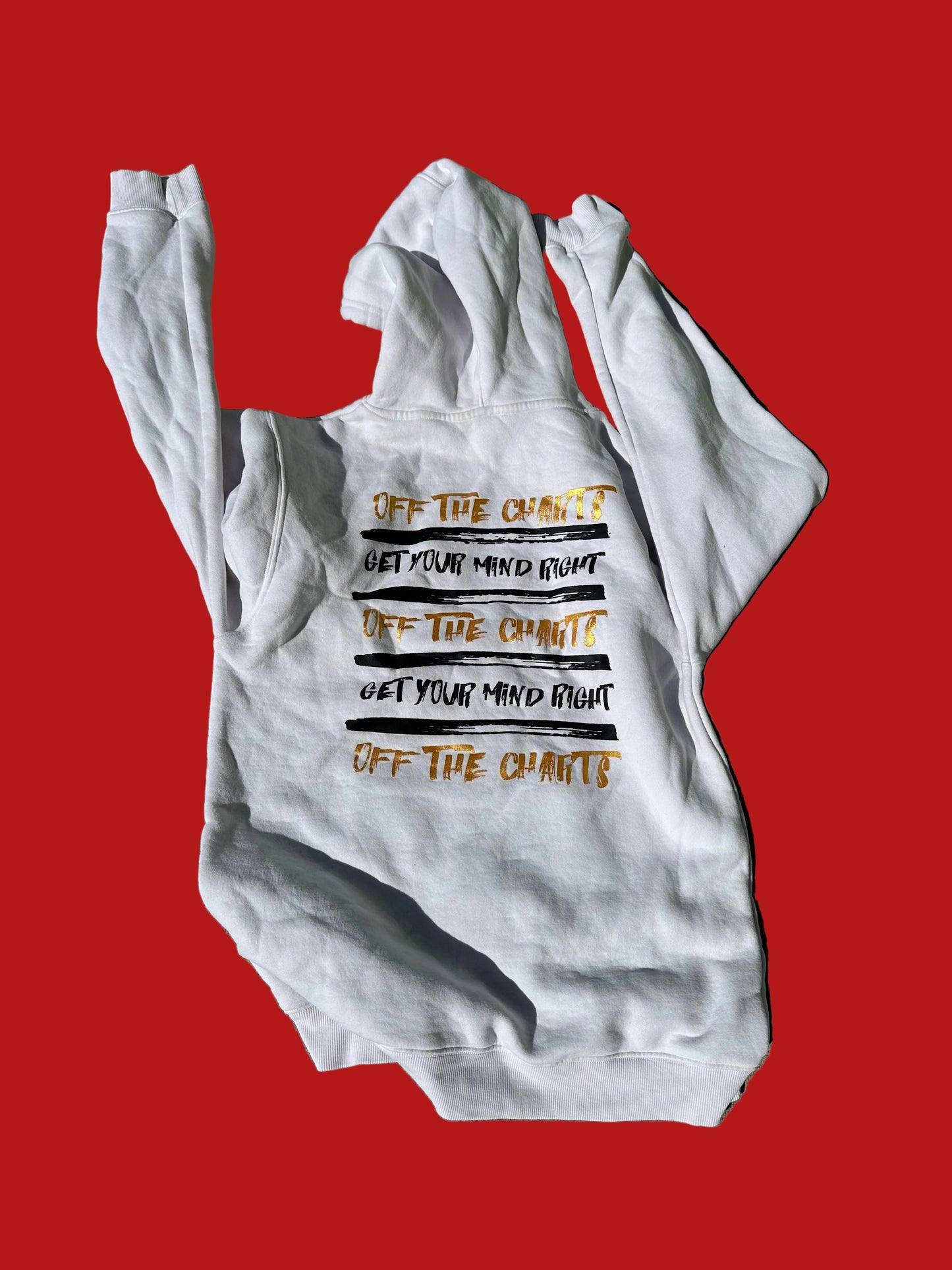 BALLERS: Ricky’s HERO Hoodie (M)