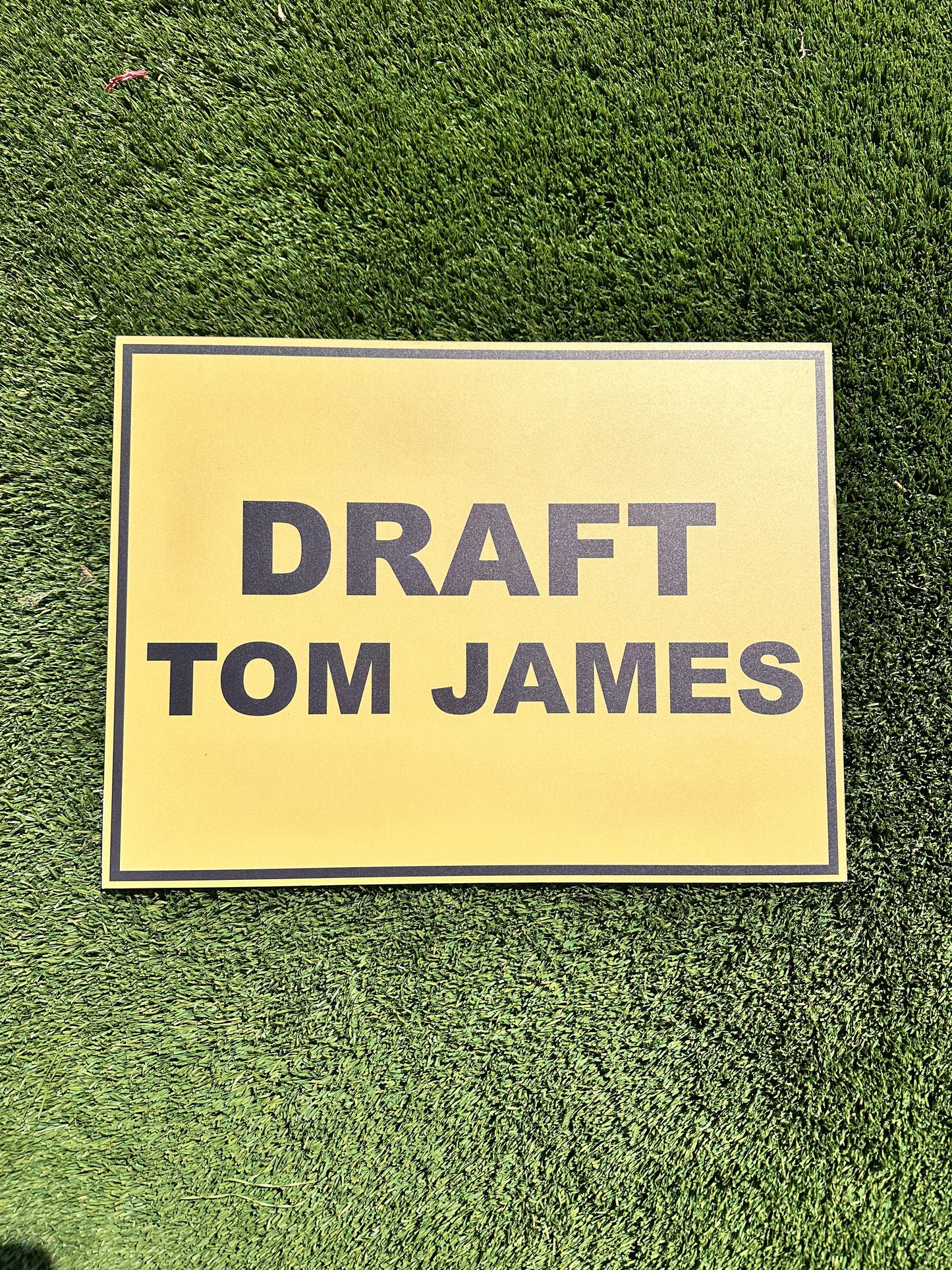 VEEP: Tom James Cardboard Campaign Sign (1’x11/4’)