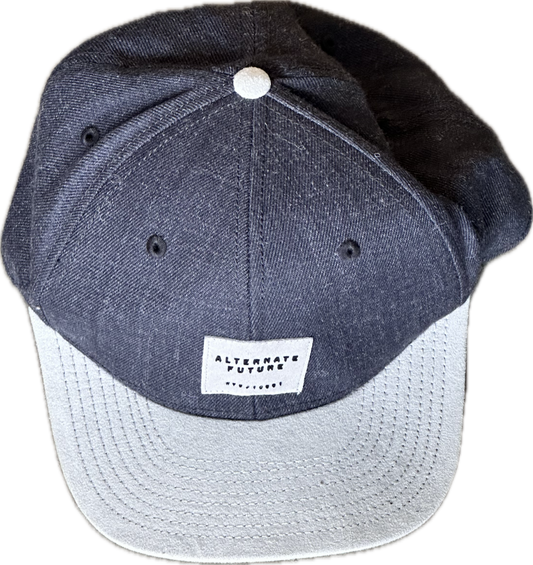 NEW GIRL: Schmidt's Alternate Future Snapback Hat