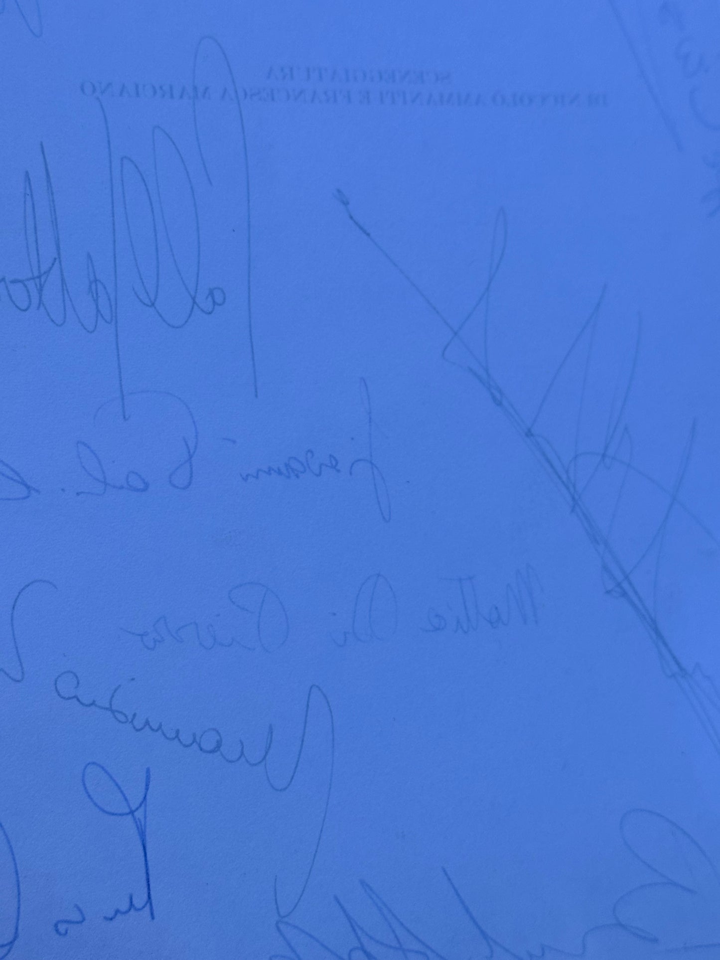 Foreign Film: Director Signed Script from The MIRAMAX Archive