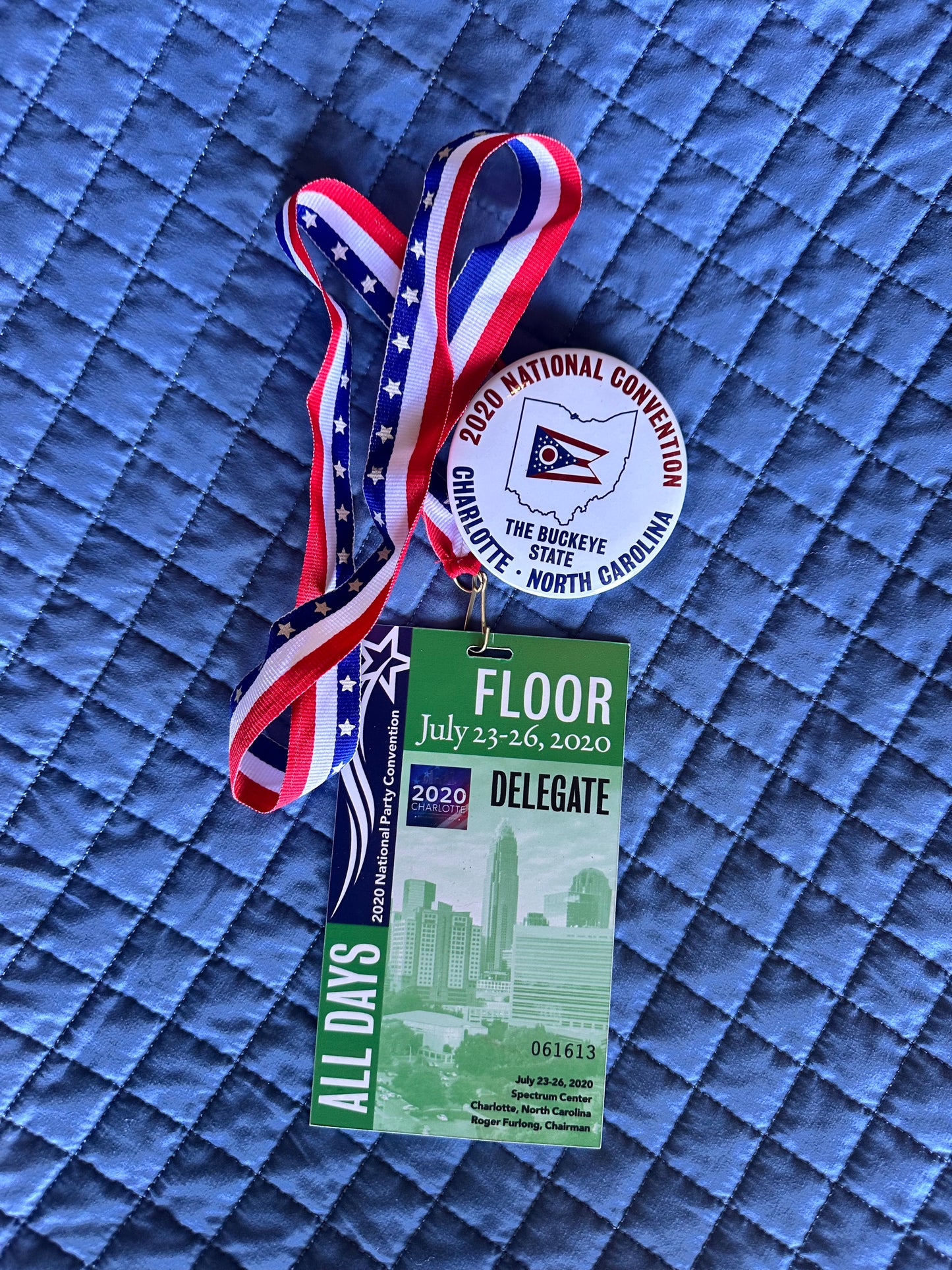 VEEP: North Carolina HERO Convention Delegate Badge, Lanyard and Pins