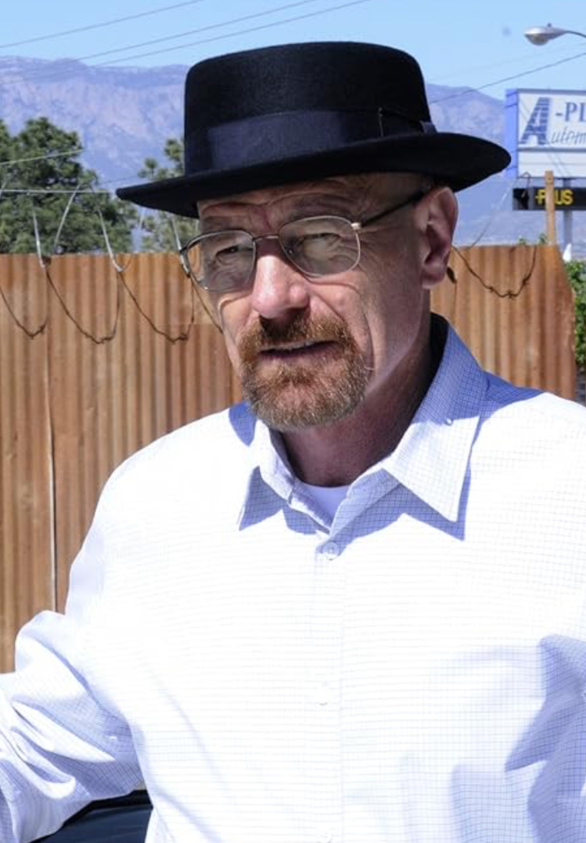 BREAKING BAD: Walter's White and Light Blue plaid Shirt (L)