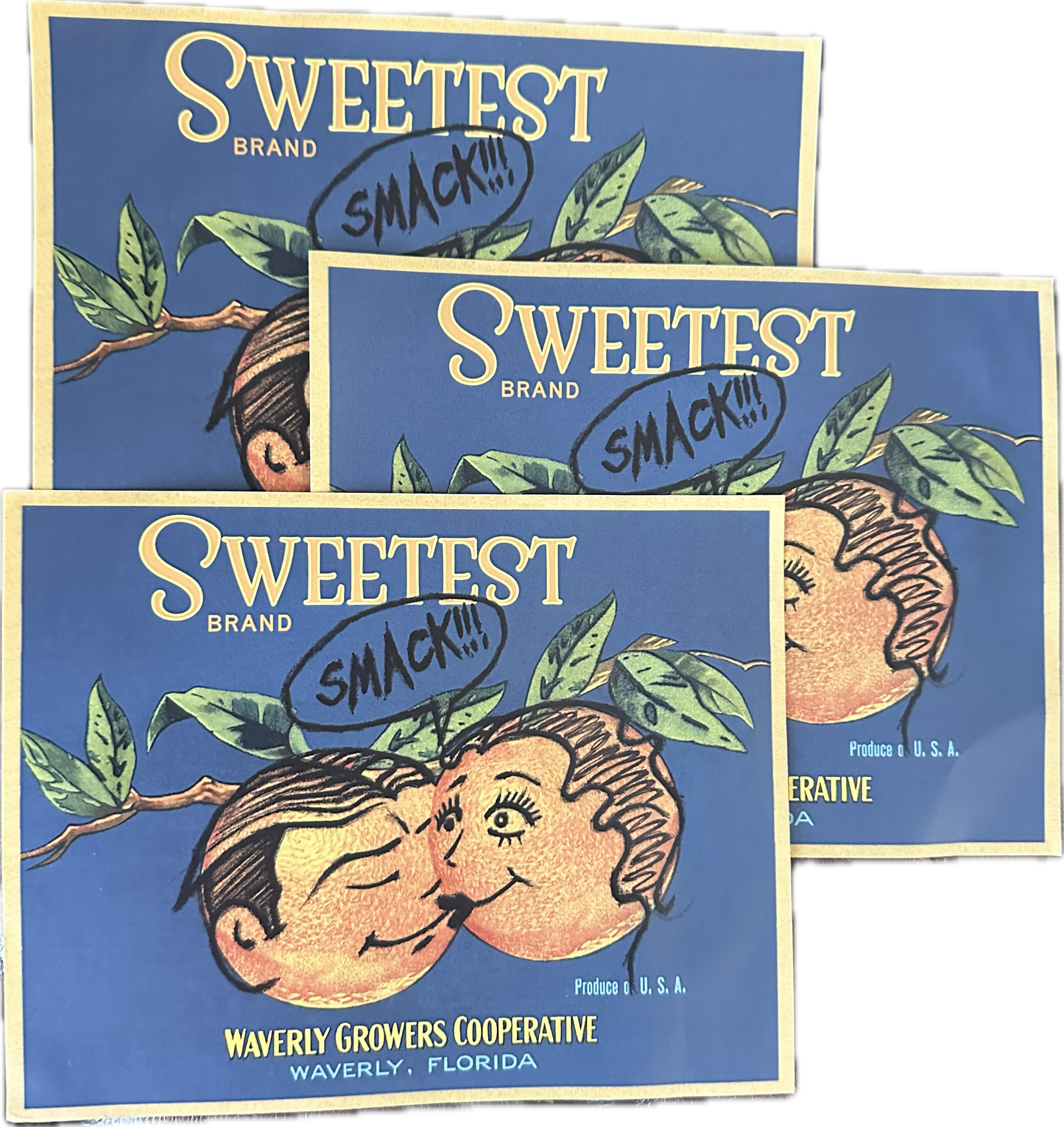 Boardwalk Empire: Nucky's 3 WAVERLY GROWERS Labels from Episode 306