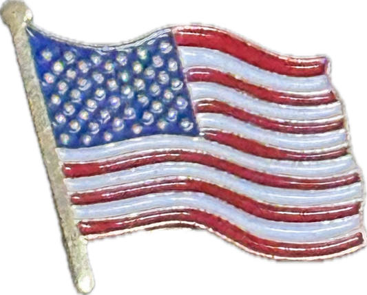 PARKS AND RECREATION: Leslie Knope's American Flag Lapel Pin