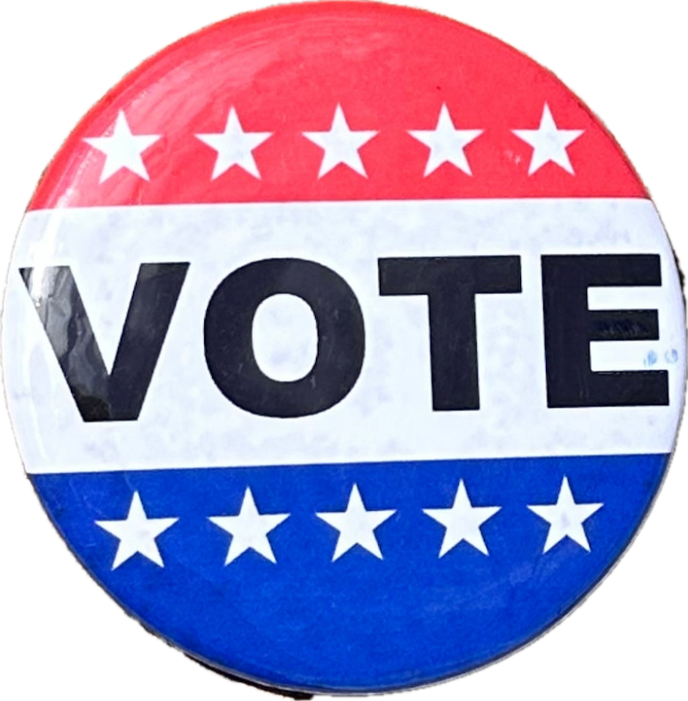 PARKS AND RECREATION: Leslie Knope's Vote Pin