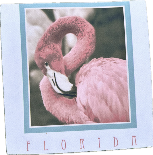 JUSTIFIED: Raylan's FLORIDA Mousepad
