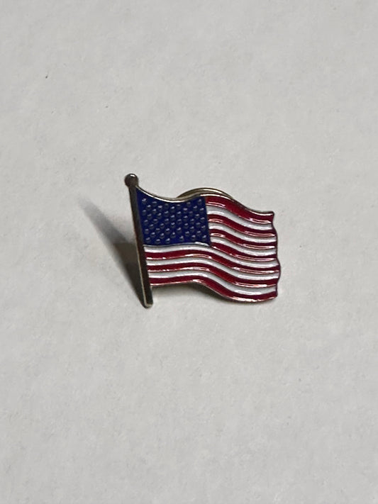 VEEP: Hugh Laurie “Tom James” HERO American Flag Pin