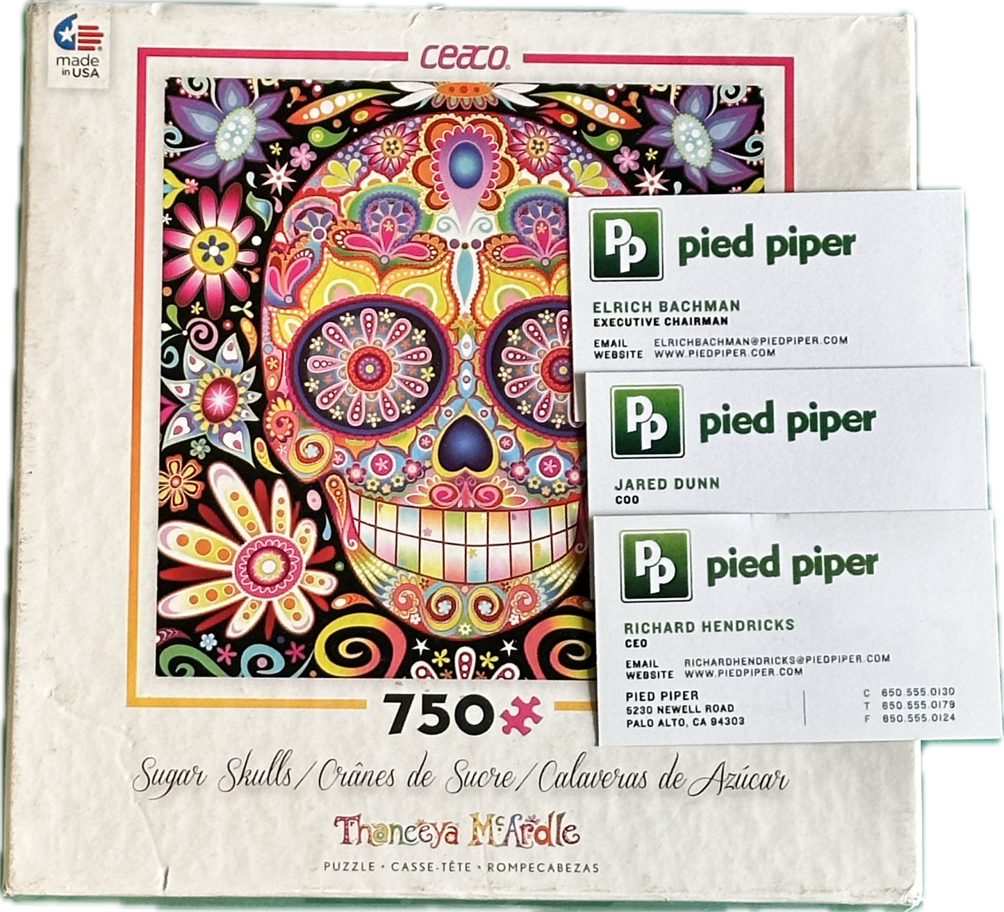 Silicon Valley: Richard’s Hacker Hostel Puzzle and Pied Piper and Team Cards